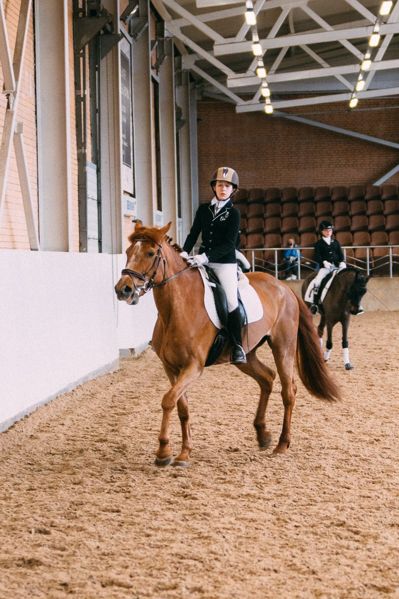 Выездка КСК «Дерби». Репортажный и семейный фотограф в Санкт-Петербурге Тарас Марченко