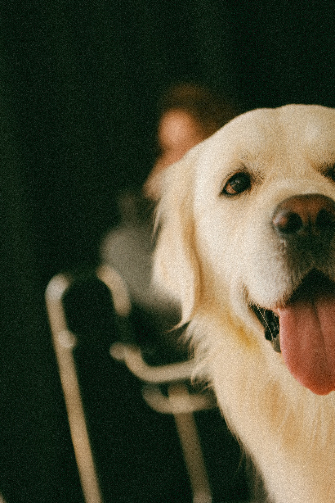 Света. Фотограф Нижний Новгород