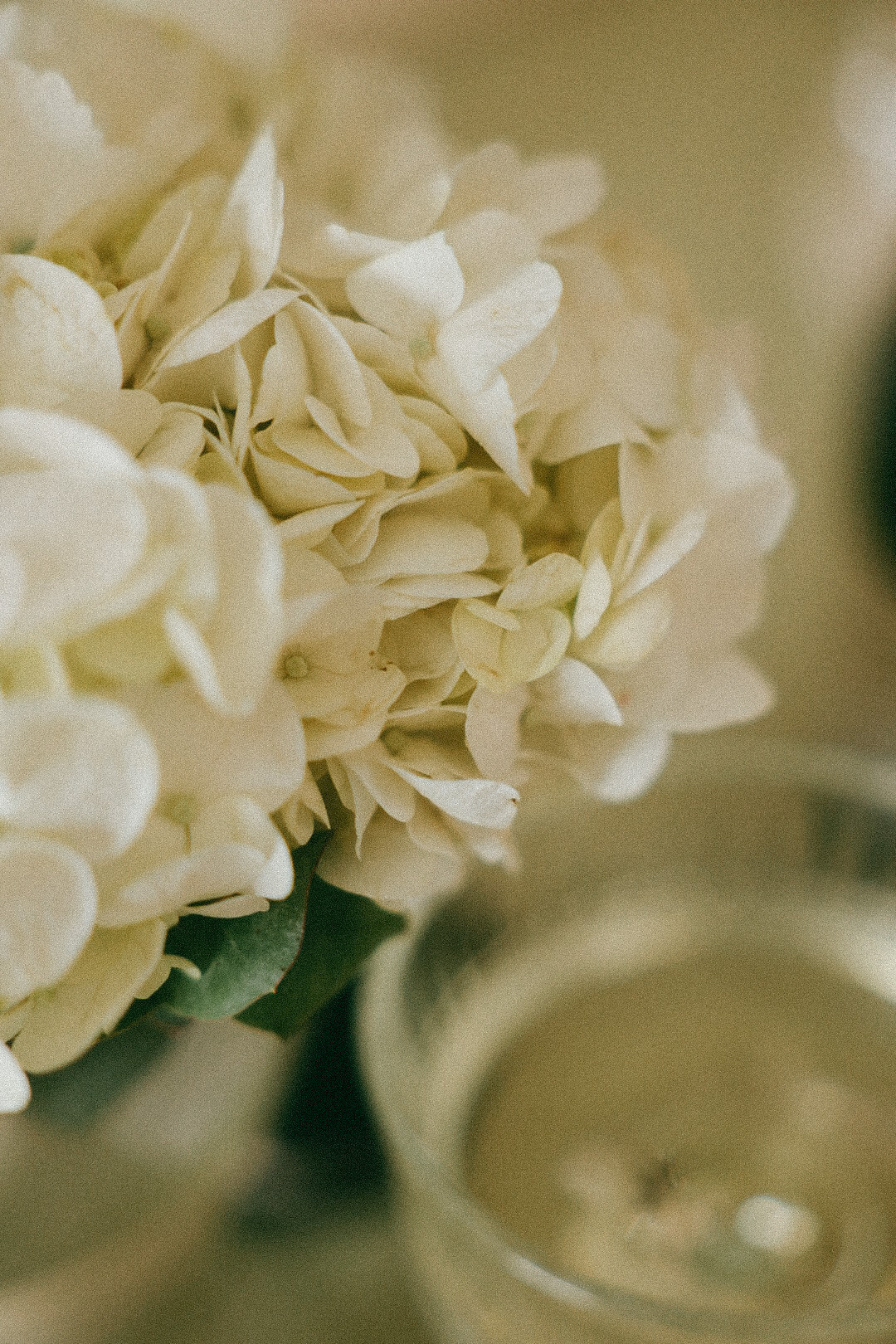 Андрей и Александра. Фотограф Нижний Новгород