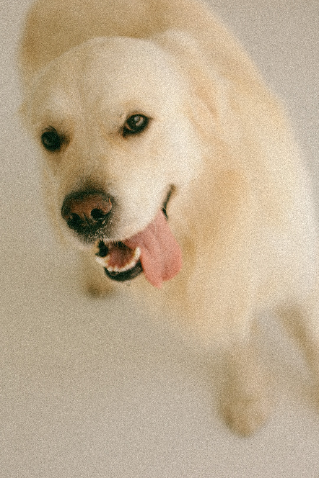 Света. Фотограф Нижний Новгород