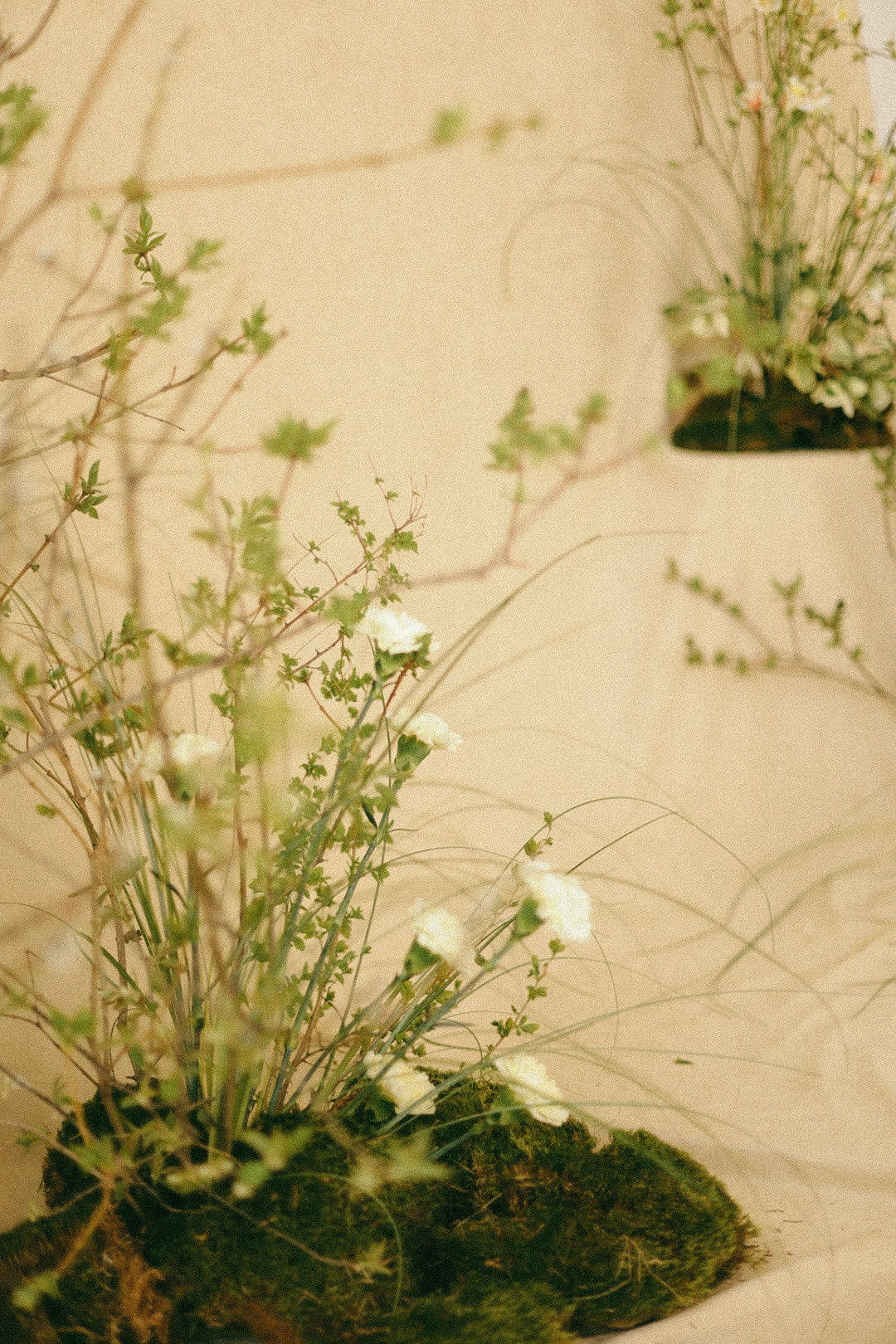 Катя. Фотограф Нижний Новгород