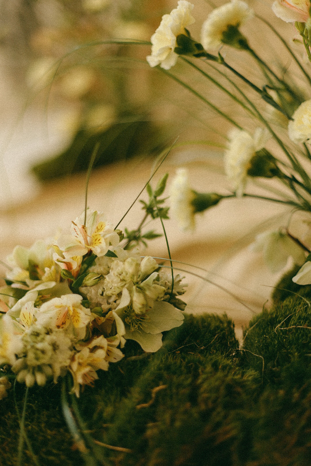 Катя. Фотограф Нижний Новгород