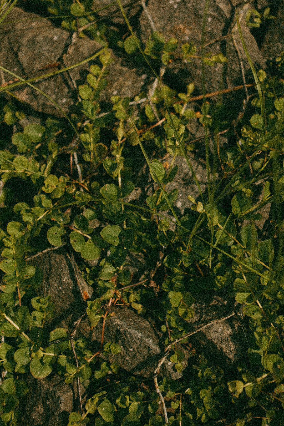 Диана. Фотограф Нижний Новгород