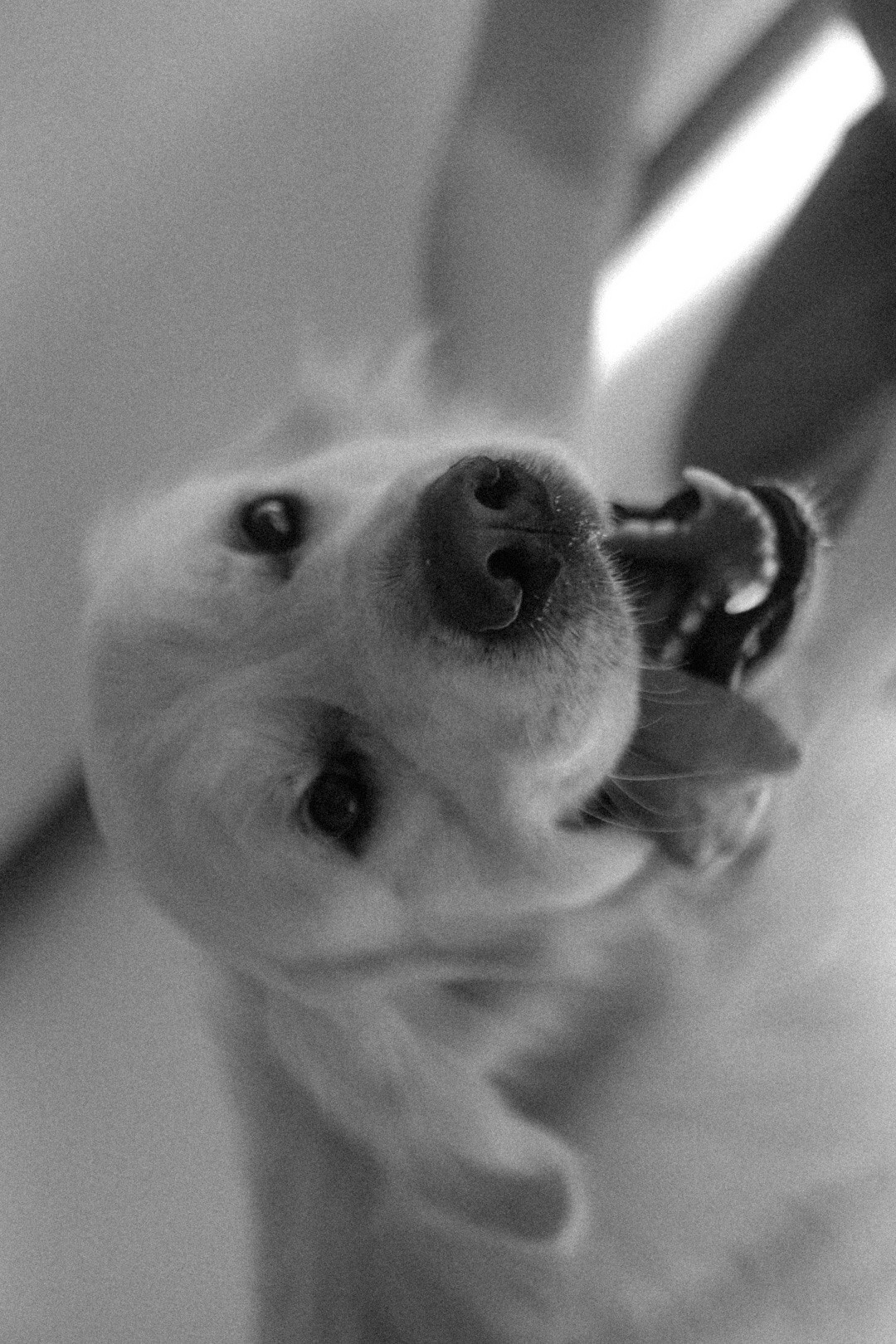 Света. Фотограф Нижний Новгород