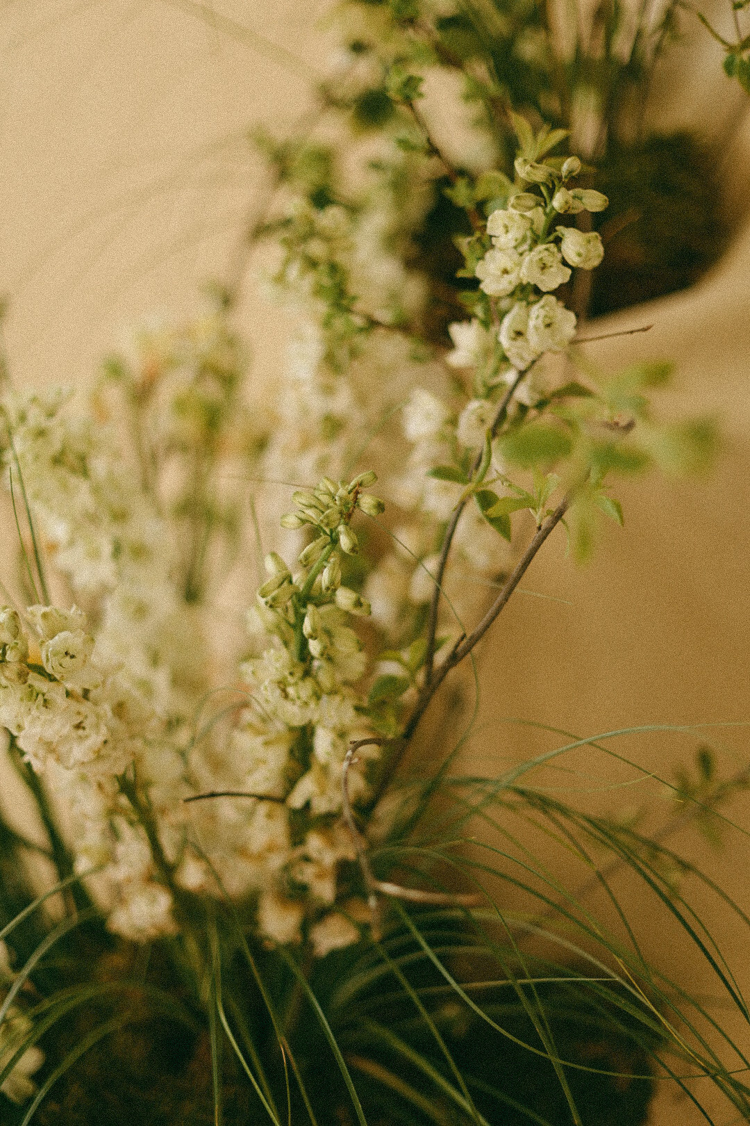 Катя. Фотограф Нижний Новгород