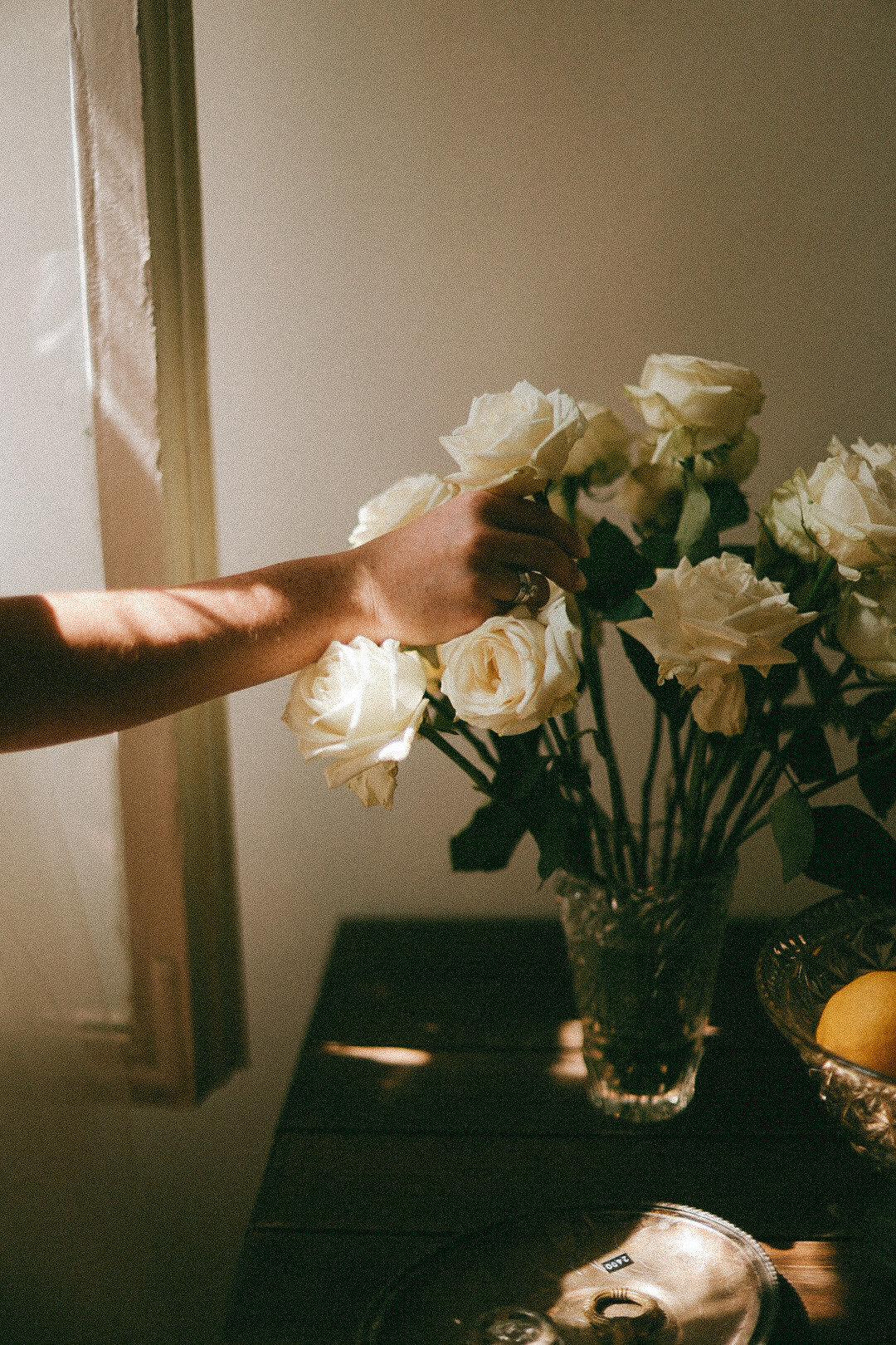 Tom & Solar. Фотограф Нижний Новгород