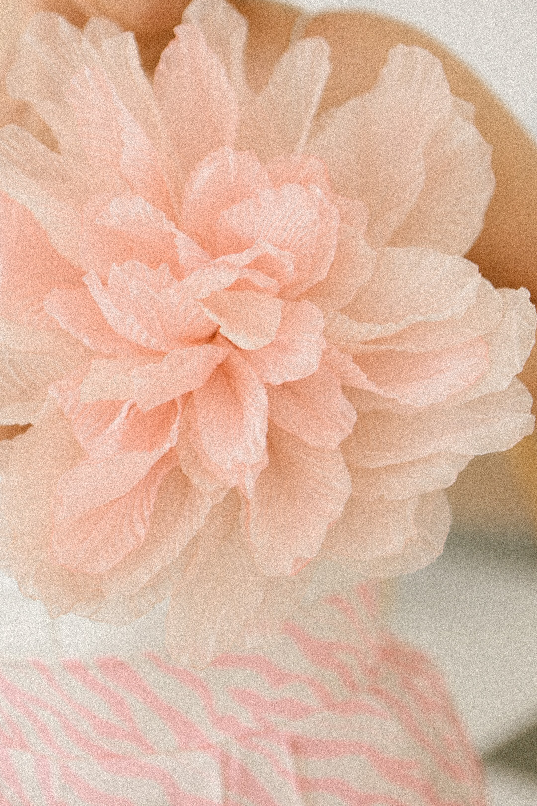 Света. Фотограф Нижний Новгород