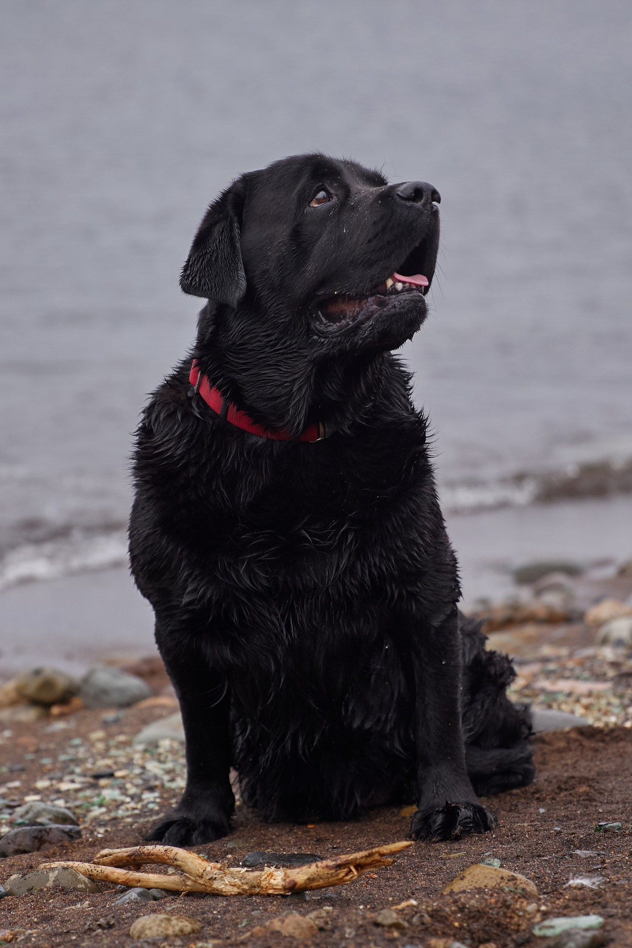 Отзывы. Фотограф женского портрета, беременности и материнства Харькова Елена