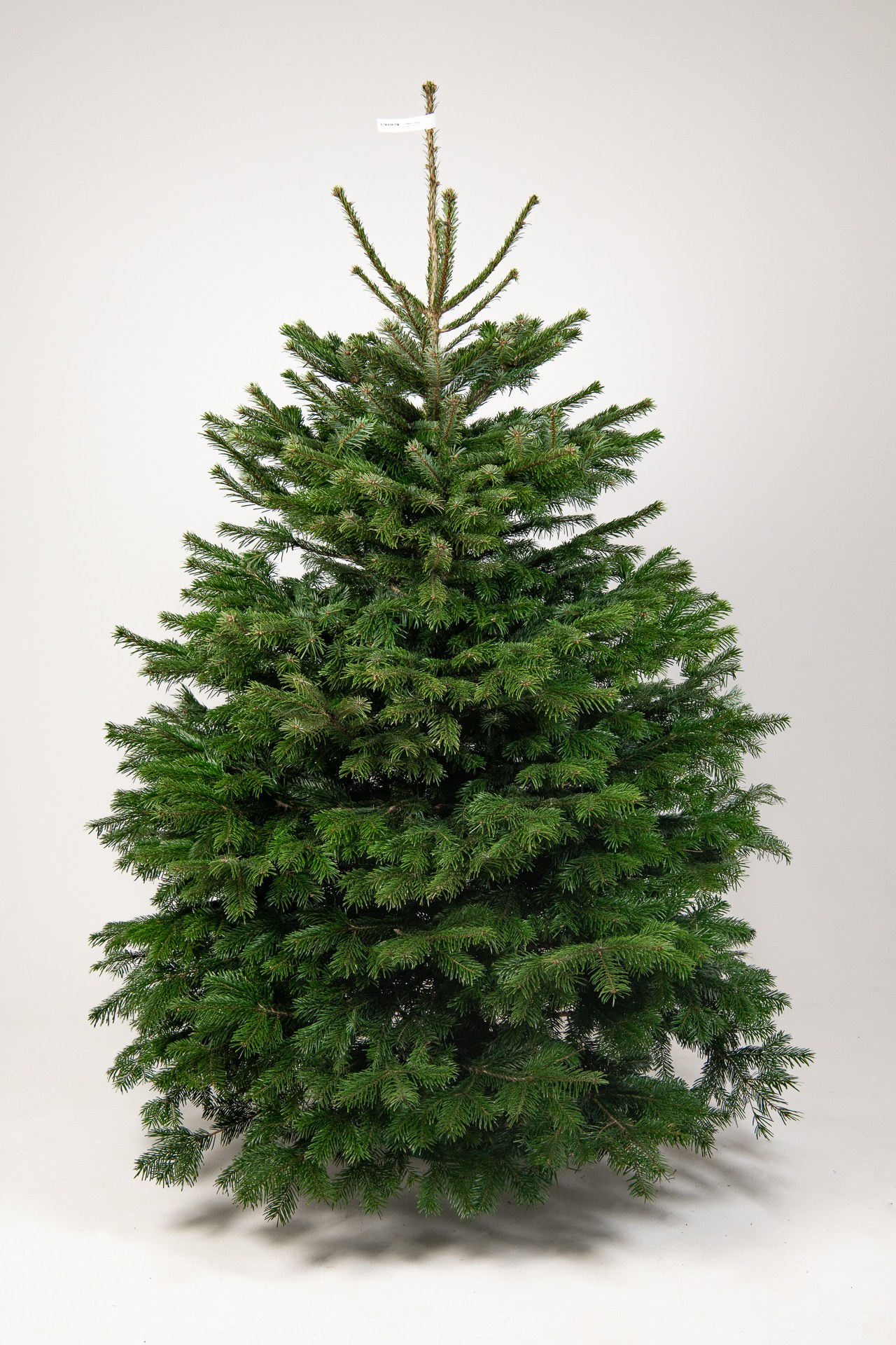 Предметная съемка елок. Фомина Елена Свадебный и семейный фотограф