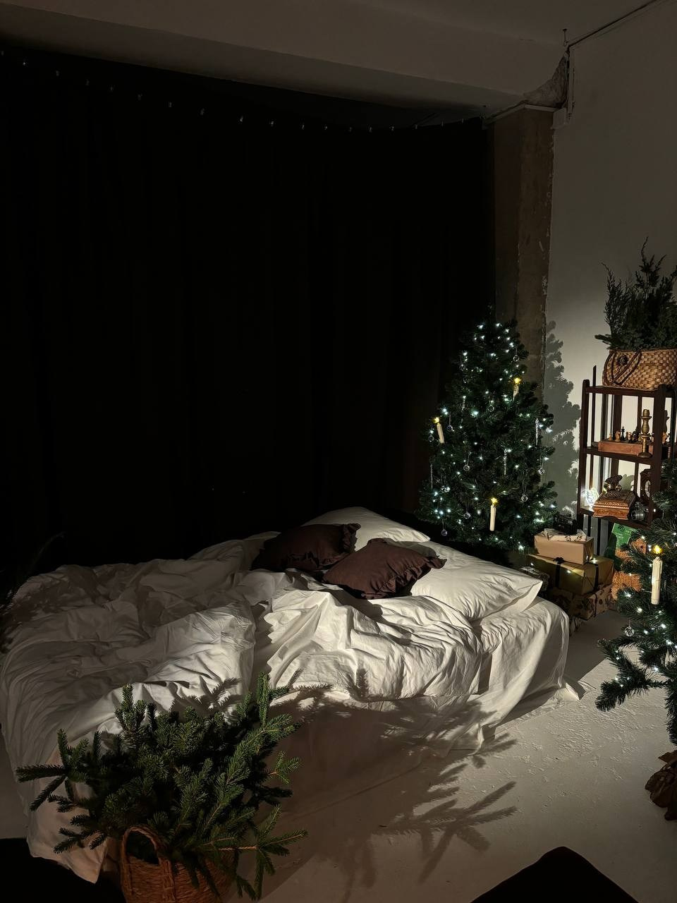 Новый год. Фотограф Мелитополь Валерия Шматко