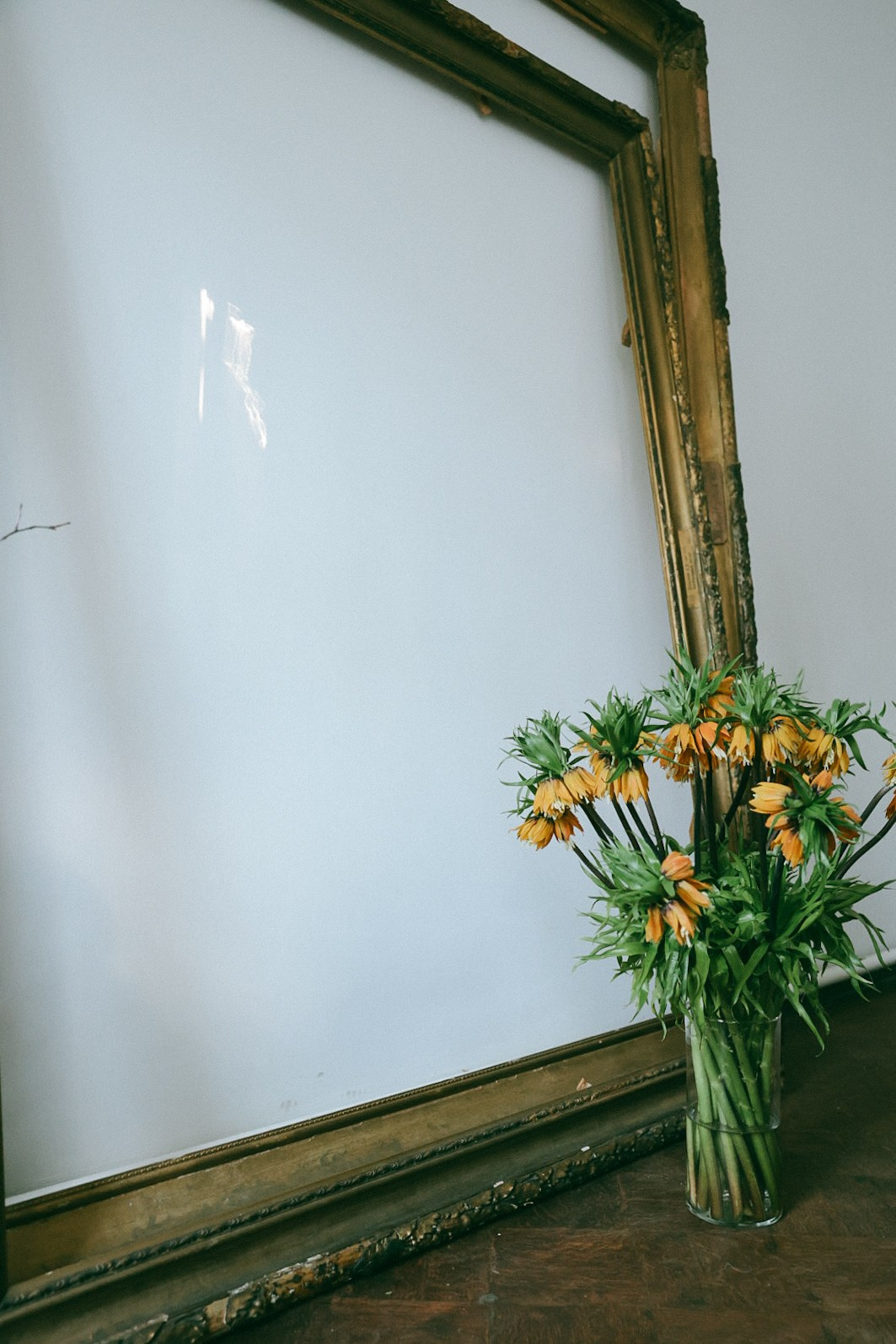 It’s a BOY 💙. Фотограф Нижний Новгород