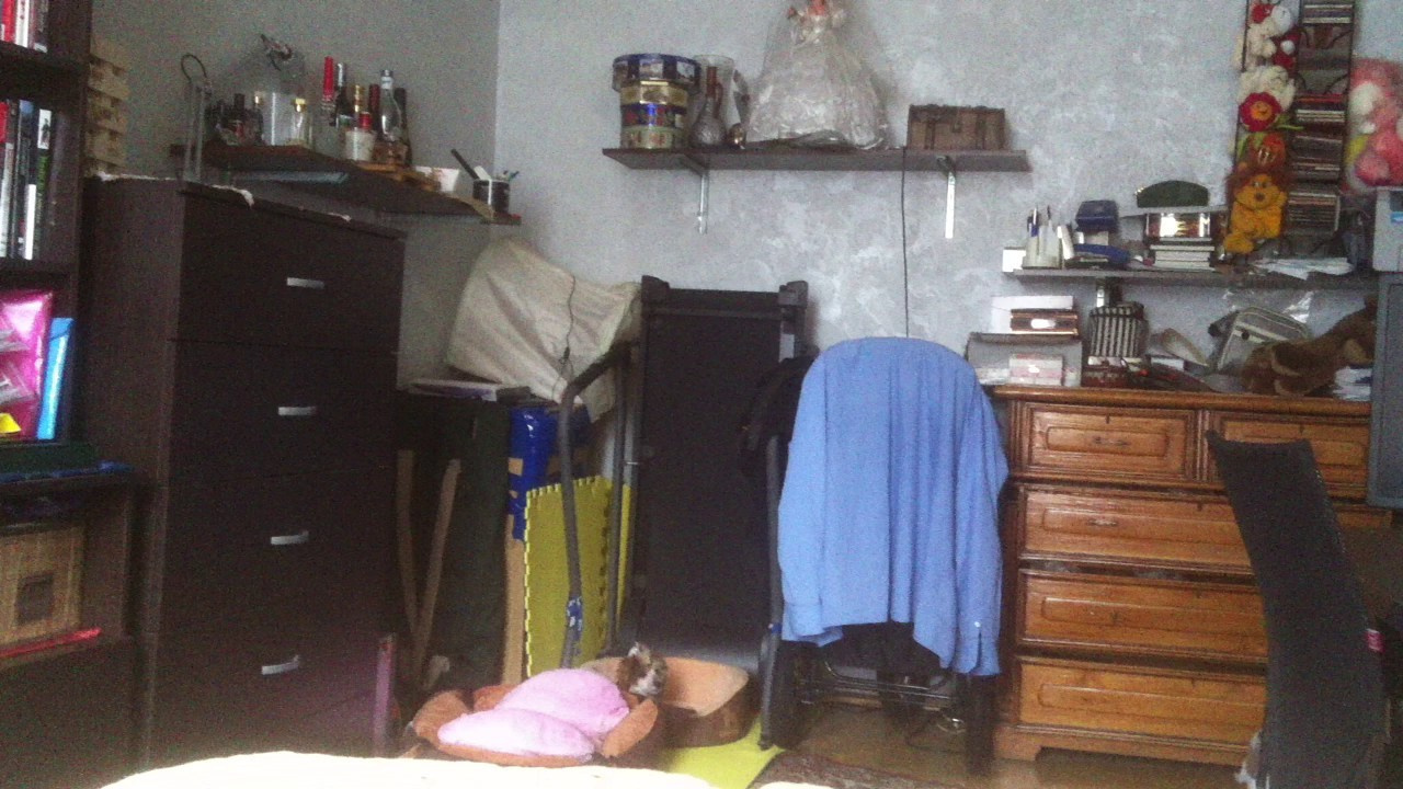 Lux, a new member of the family. Poale Ell Chinese Crested Dog Kennel: Buy a puppy from the kennel