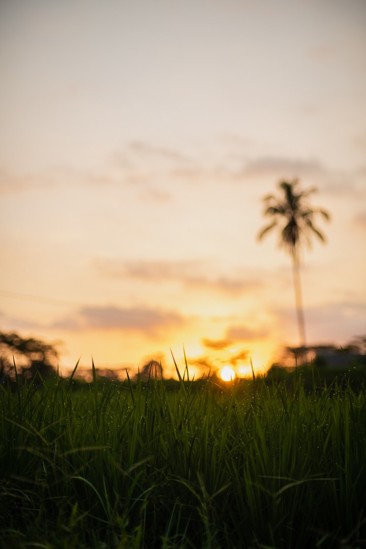 Bali. Indonesia. Photographer in Tokyo Anatolii Ozarto