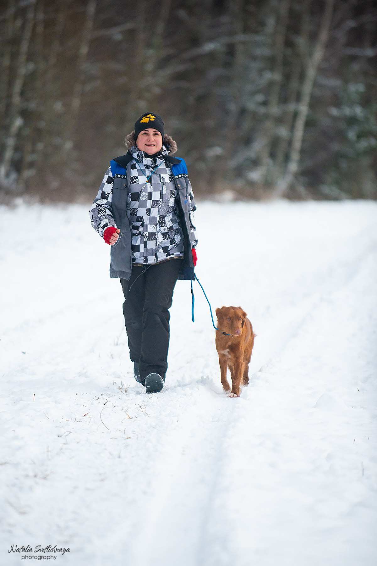 Тренировочный воркинг тест Школы Шмеля, 02 декабря 2023. Фотограф-анималист Наталья Светличная