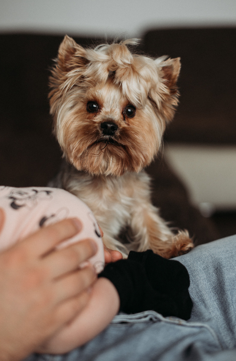 Домашняя съемка. Семейный фотограф Тюмень