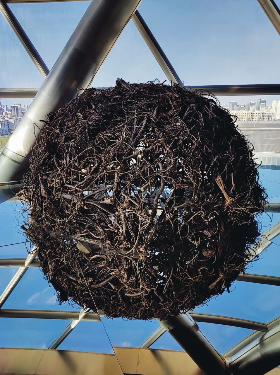 Намобилкус казахский. Репортажный фотограф Алексей Пирязев