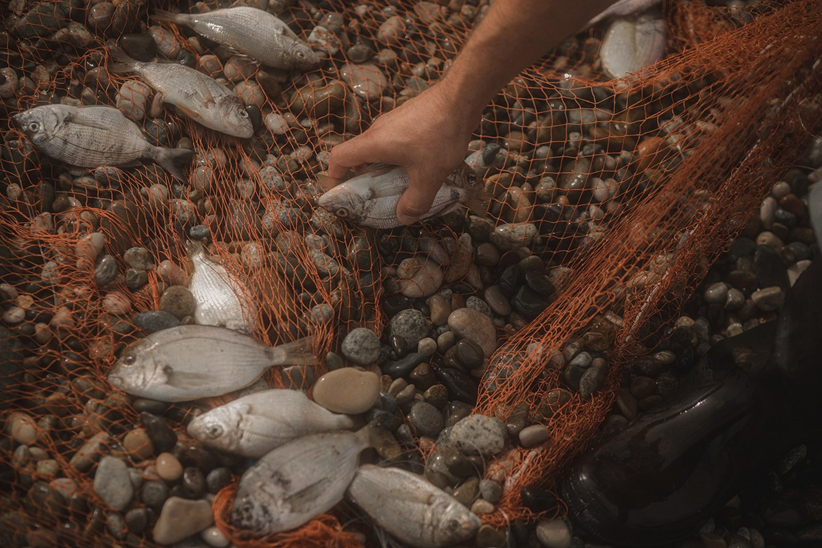 Кинематографическая фотография. Фотограф Галина Ворошилова. Создатель историй