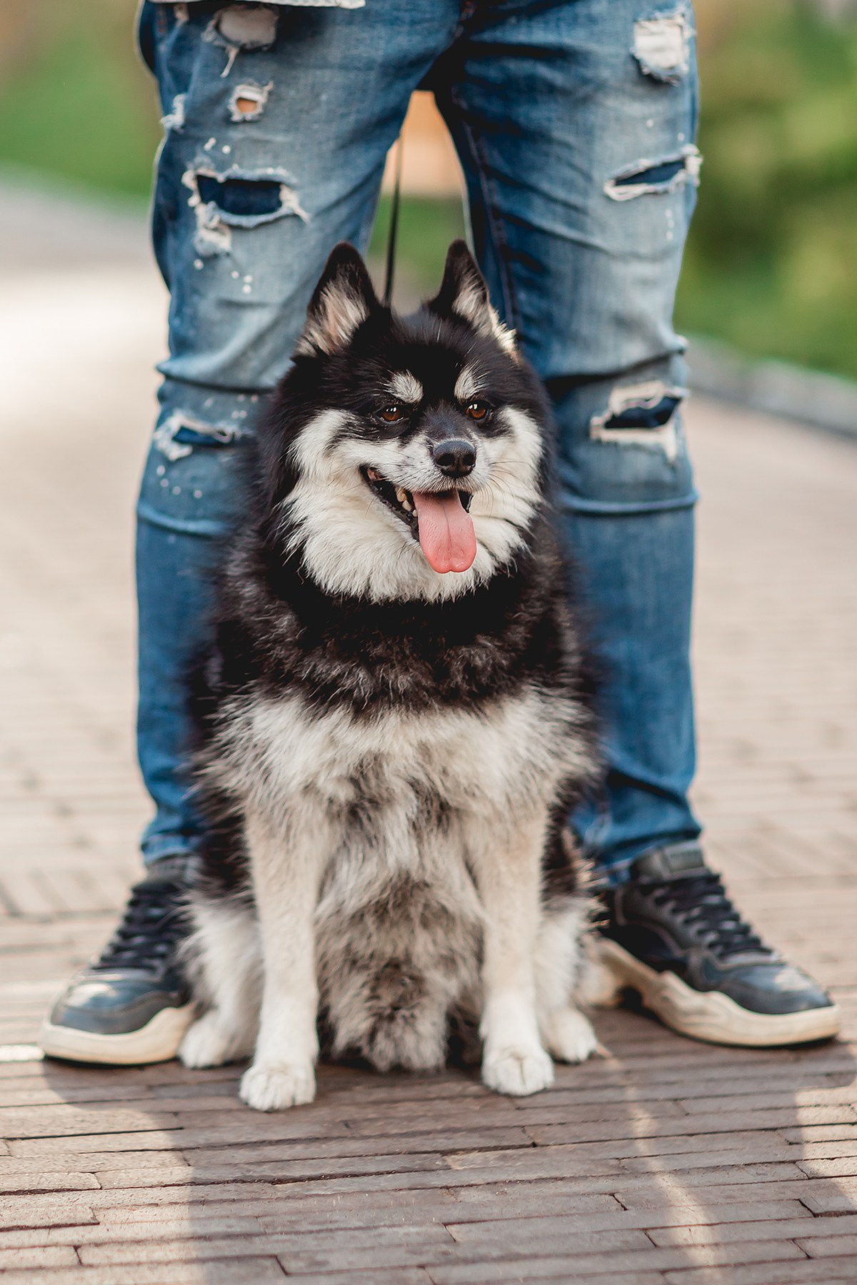 Надежда, Дмитрий и Марсель. Семейный фотограф анималист Мария Крючкова