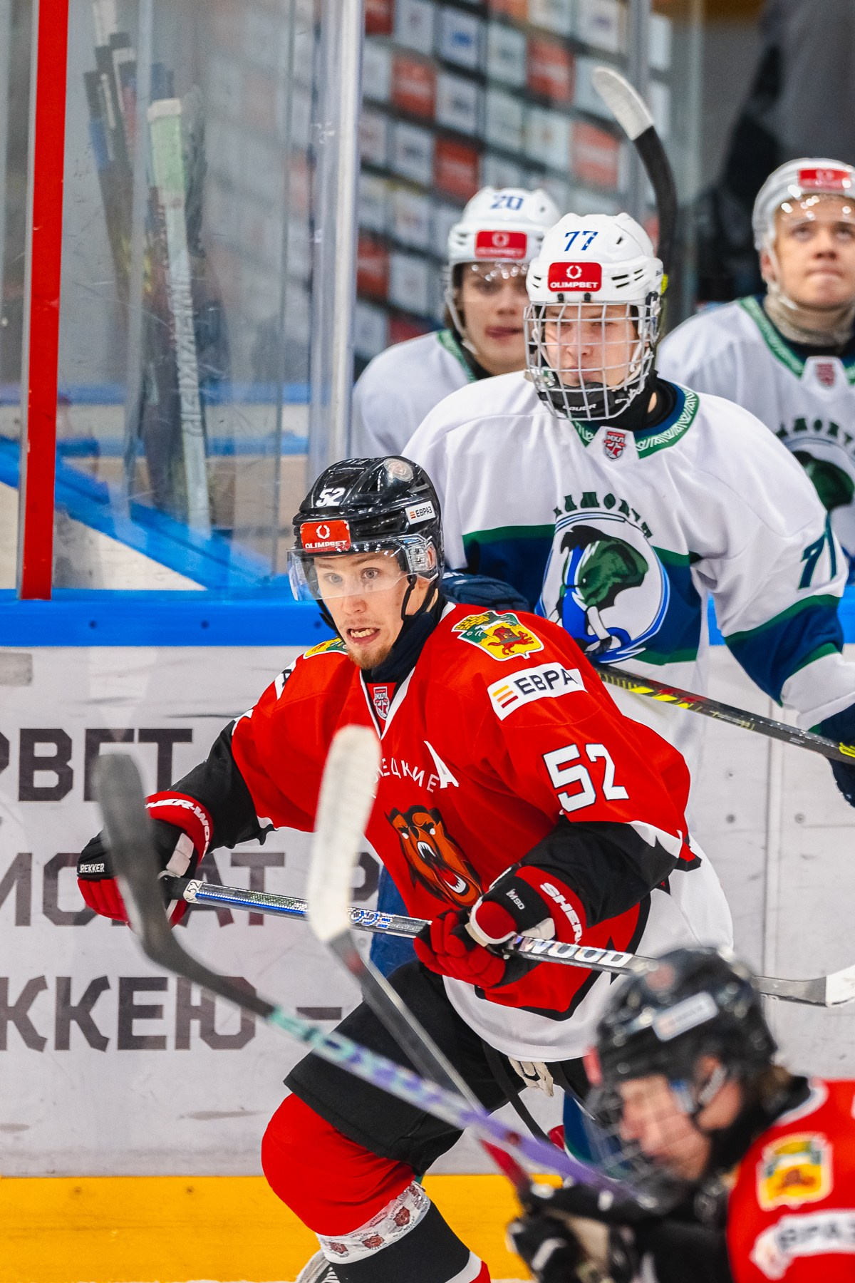 Медведи-Мамонты Югры. ProfotoNK