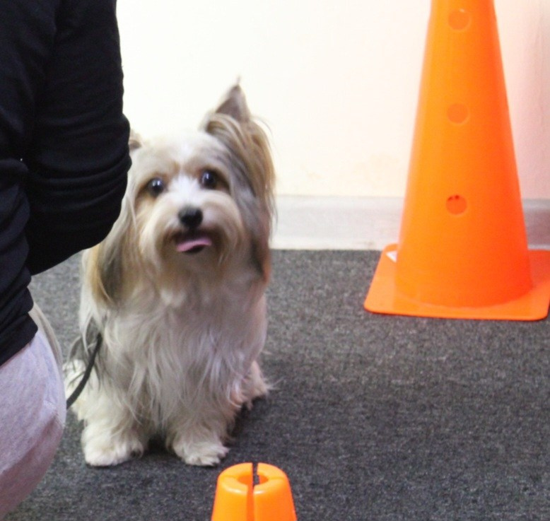 Репортаж УС «ДЦ Ральф». Катя Попова|ЛайфСтайл фотограф