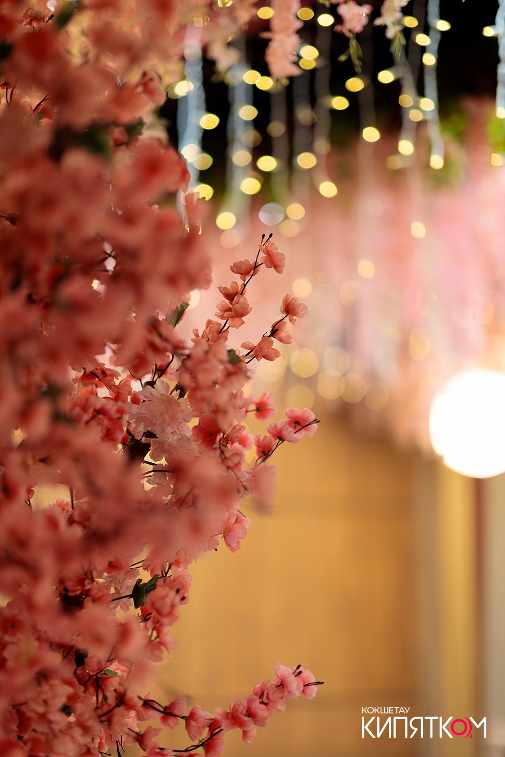 HANAMI. КИПЯТКОМ КОКШЕТАУ