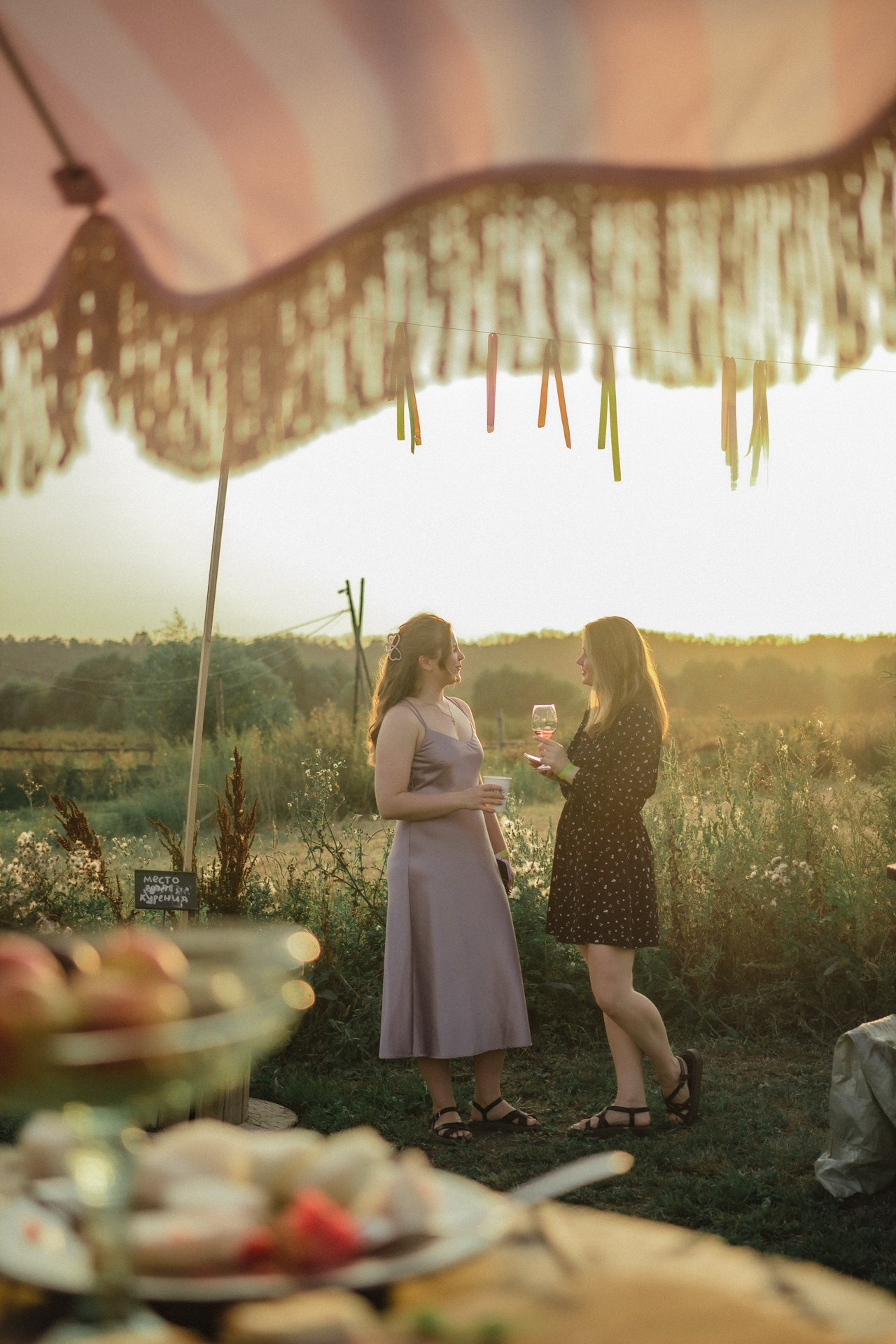 СЫЧ: Музыка на закате. Анастасия Попова — свадебный и репортажный фотограф | Воронеж, Павловск