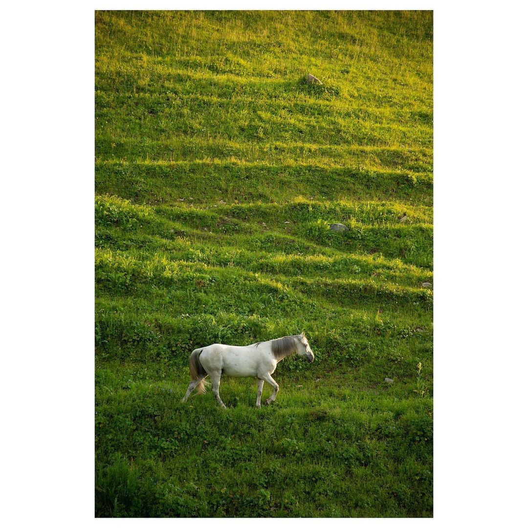 Горы. Фотограф в Алматы