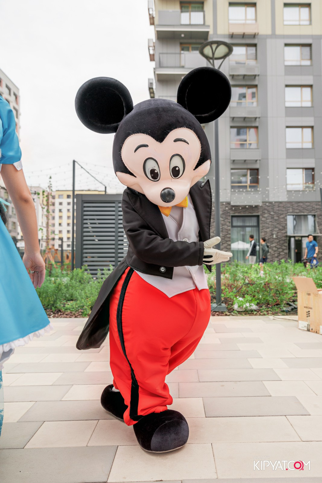 BI RUN 2025. КИПЯТКОМ АЛМАТЫ!