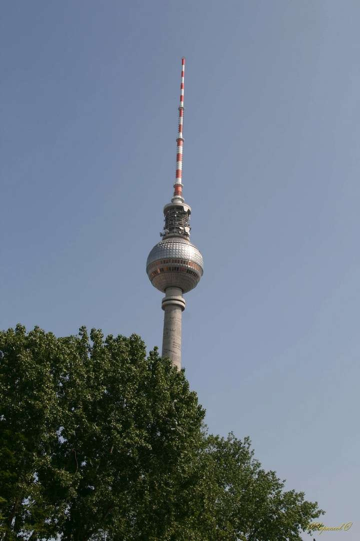 Германия 2009 г. Улица, люди, жизнь…