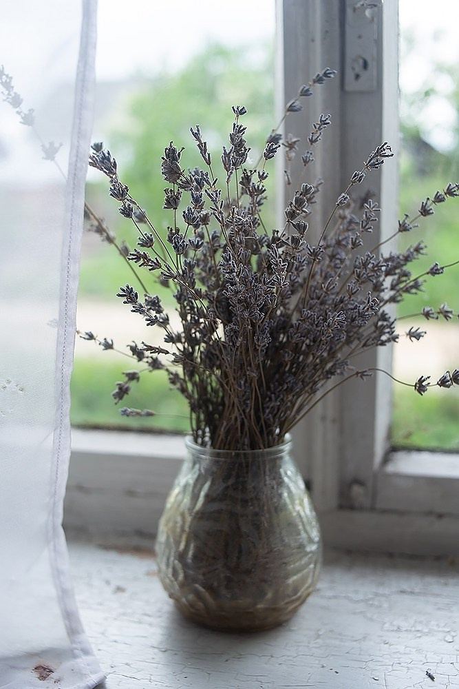 Русская деревня. Детский и семейный фотограф, фотограф мероприятий Нижний Новгород