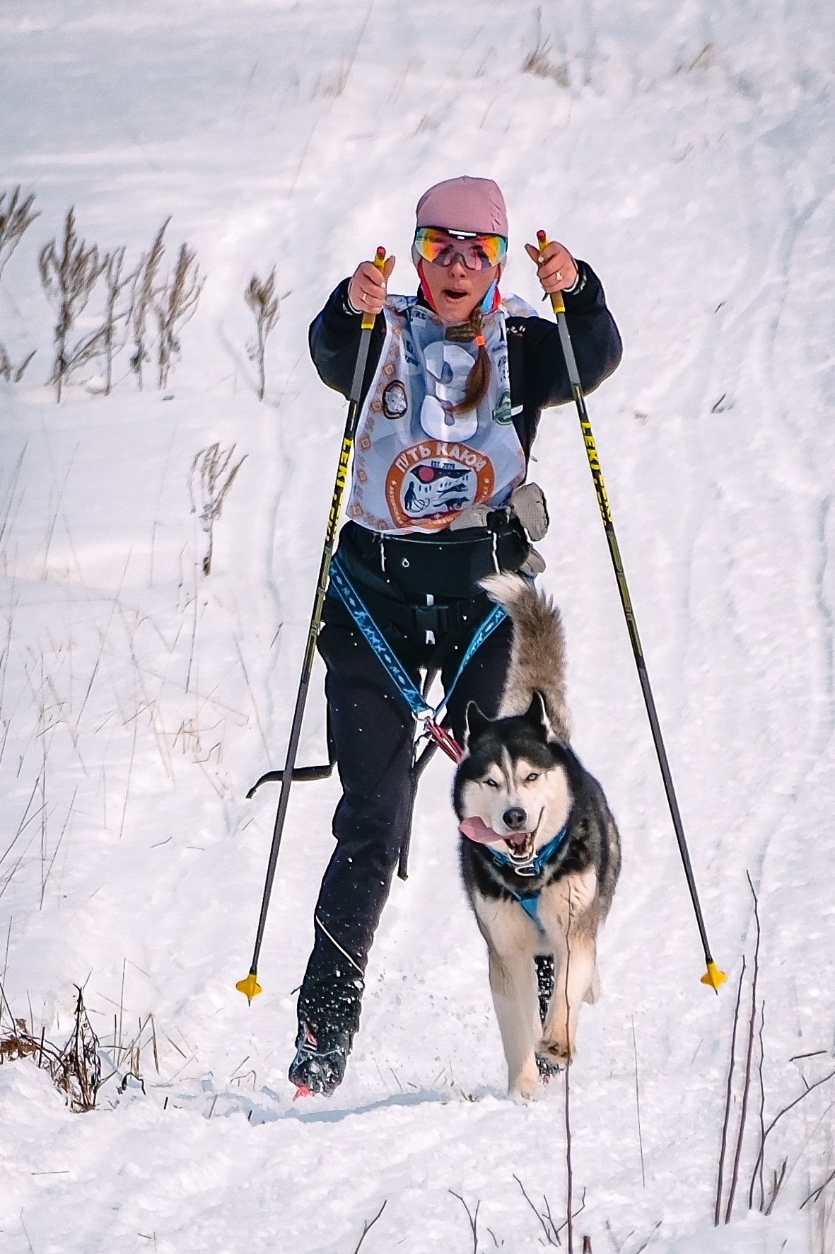 Фестиваль ездового спорта. Фотограф. г. Южно-Сахалинск. Олег Толстов