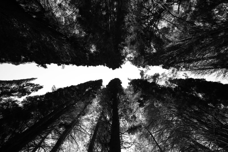 Тюленев Денис. Фотообъединение Самарского областного отделения Союза журналистов России