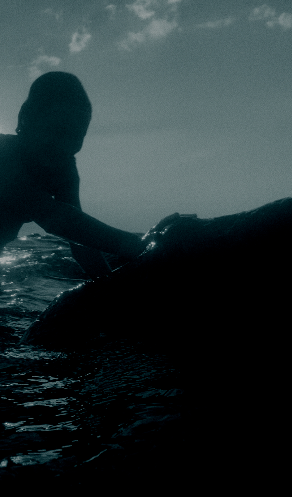 Lost-self in paradise. Carolinetru