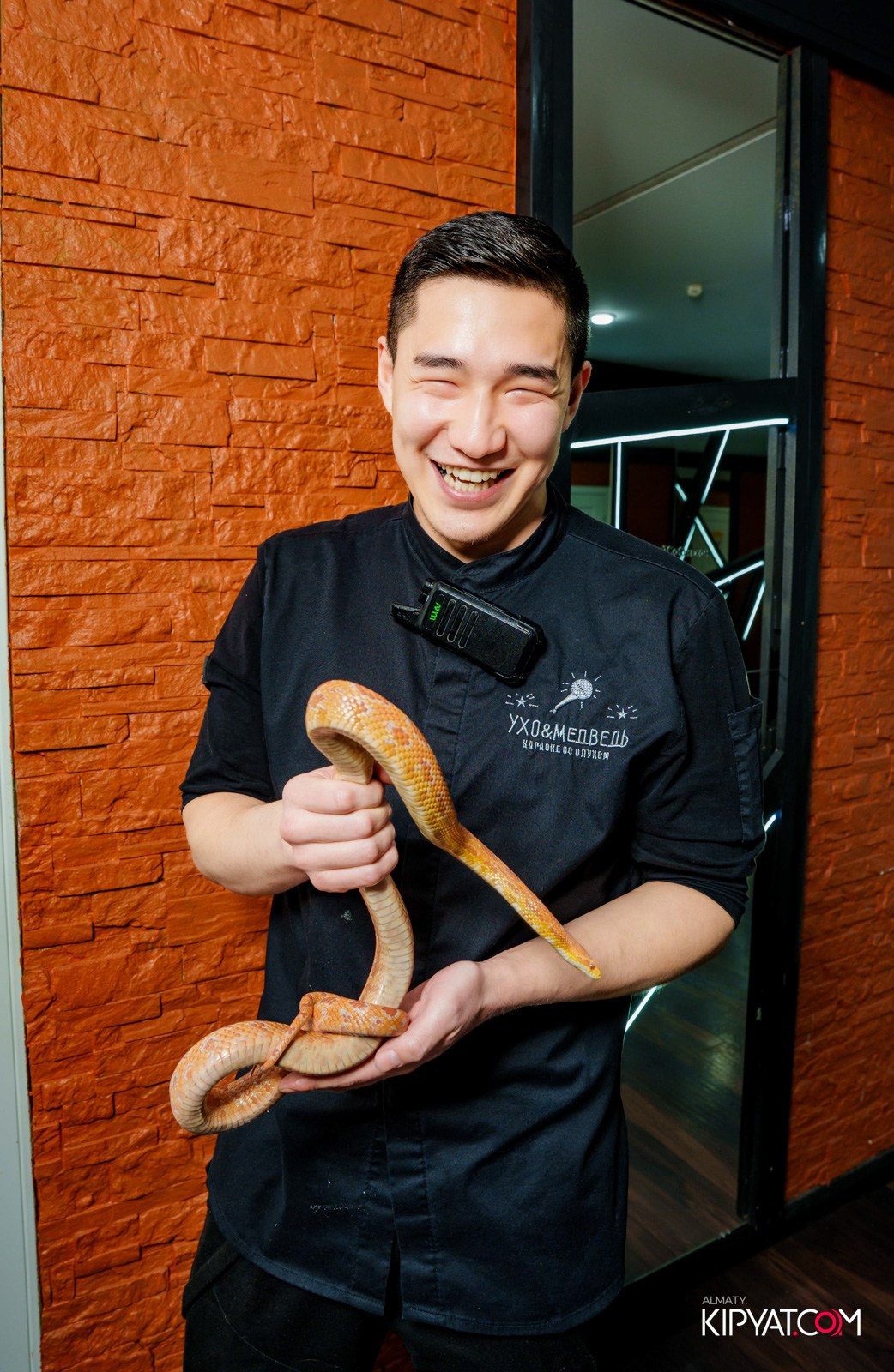 УХО И МЕДВЕДЬ НА САИНА. КИПЯТКОМ АЛМАТЫ!