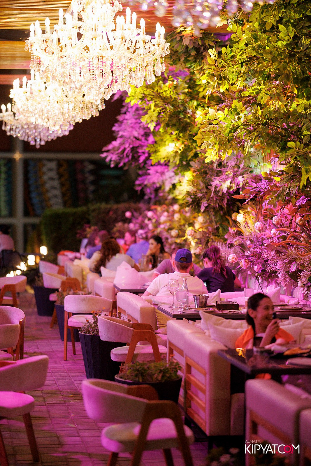 FRIENDS BAR & TERRACE. КИПЯТКОМ АЛМАТЫ! Фотосъемка мероприятий в Алматы