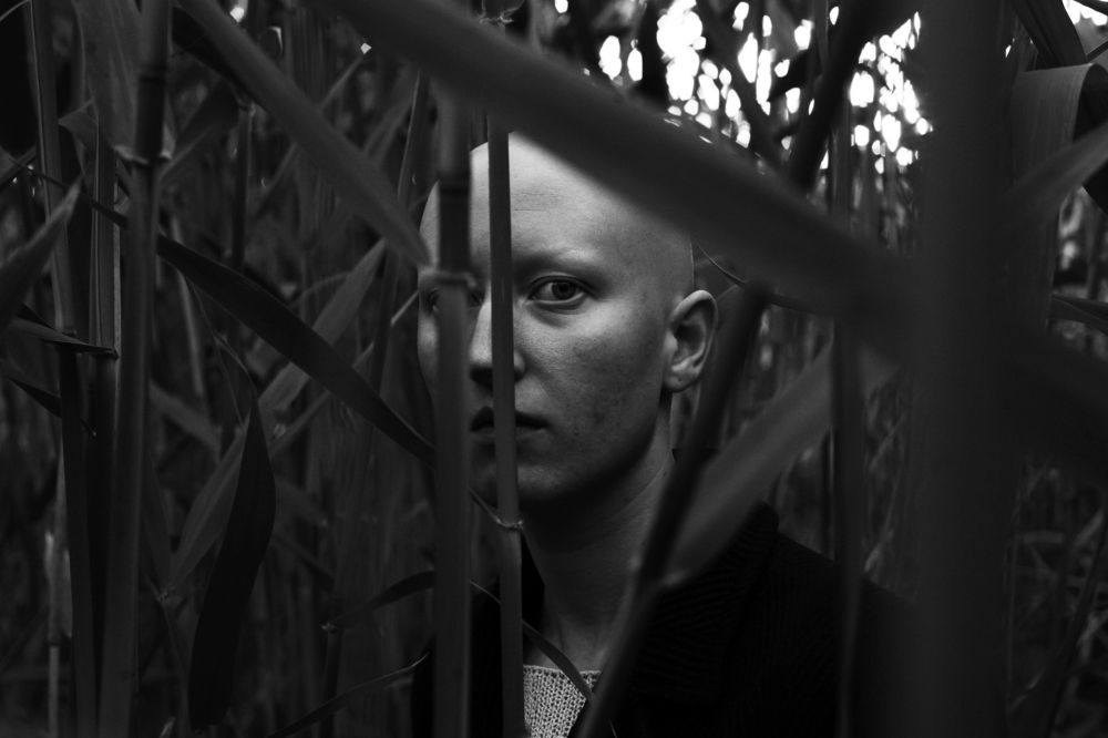 Портреты. Стас Привалов