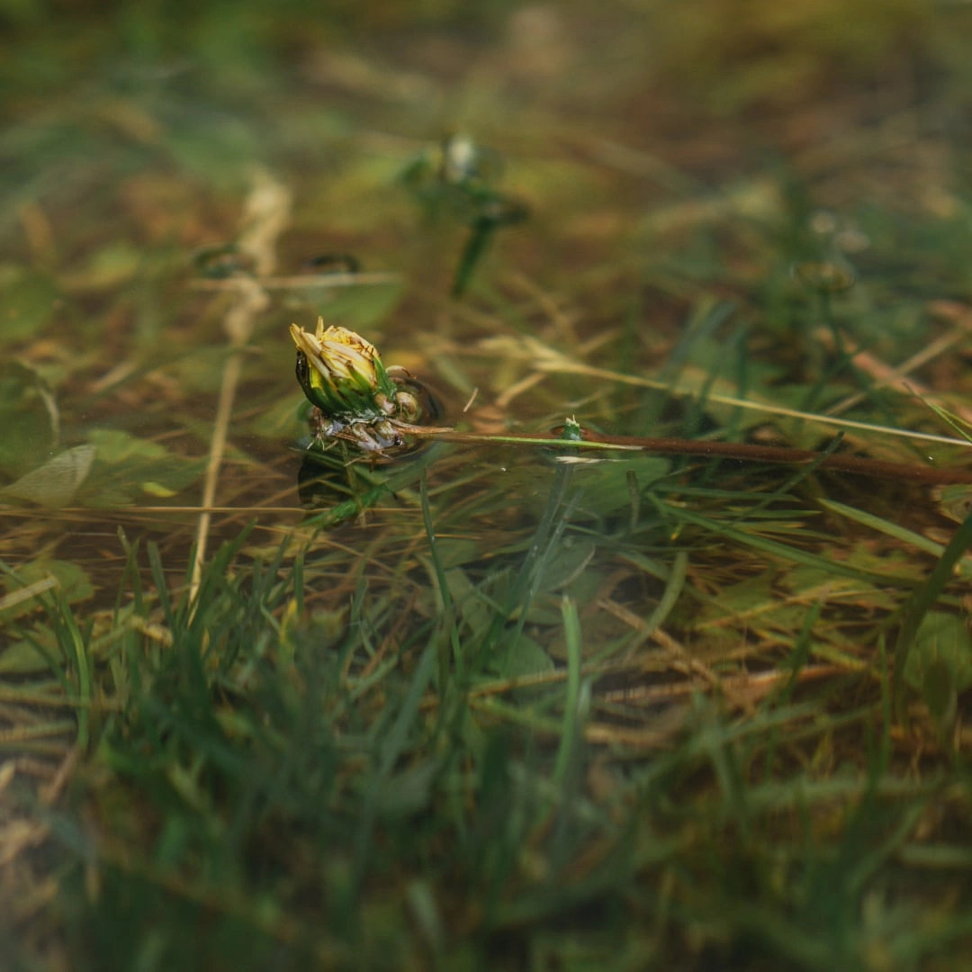 Ученики. Jorgis — фотограф в Хургаде / обучение фотографии