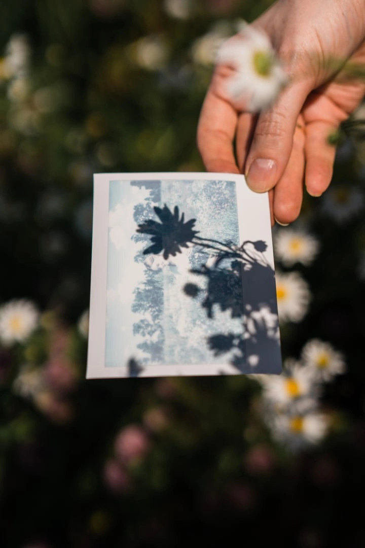 Ученики. Jorgis — фотограф в Хургаде / обучение фотографии