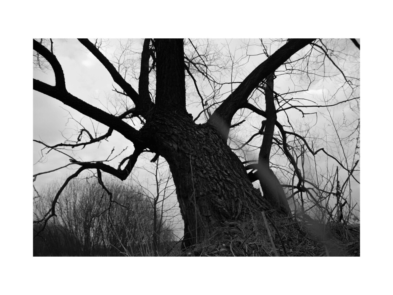 Ученики. Jorgis — фотограф в Хургаде / обучение фотографии