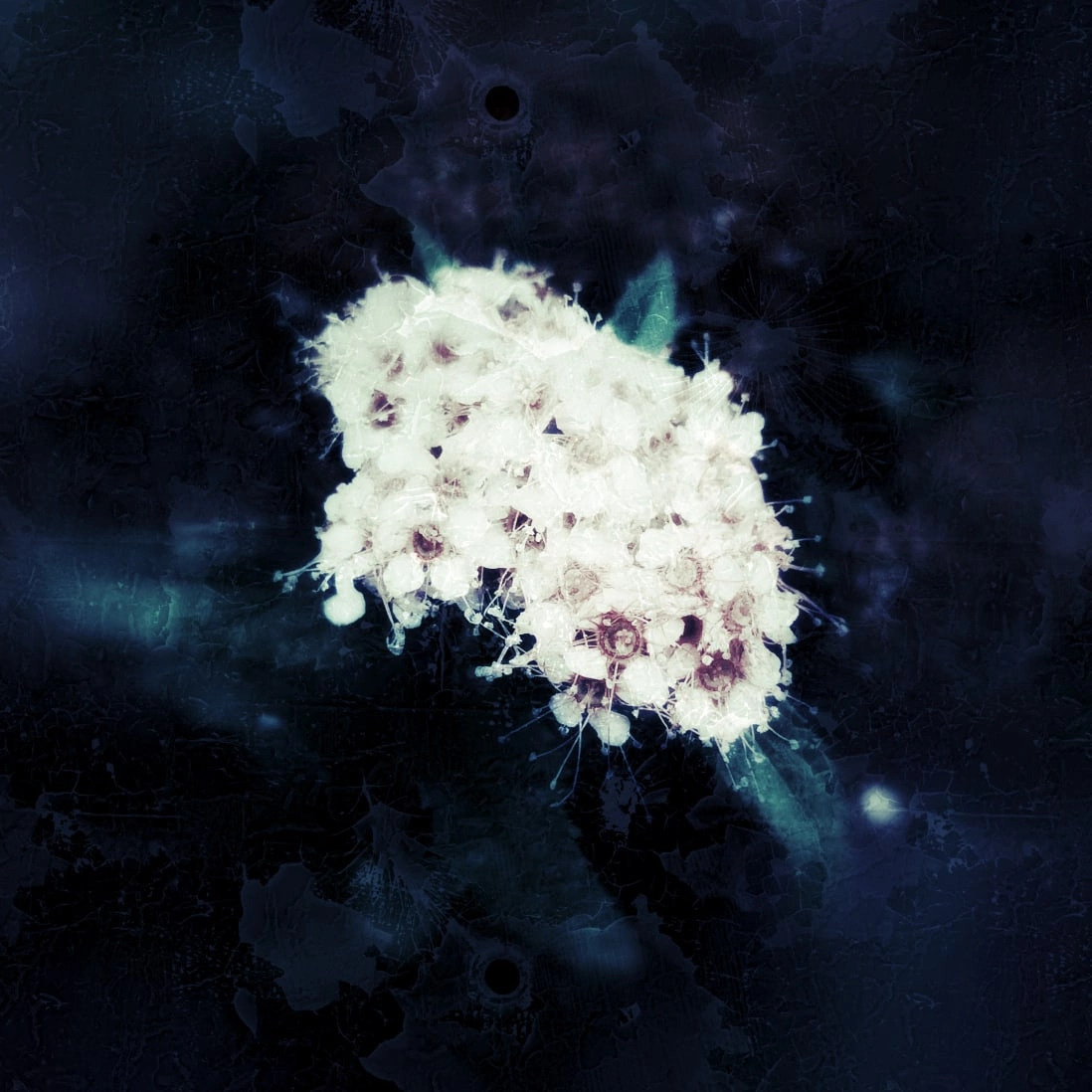 Ученики. Jorgis — фотограф в Хургаде / обучение фотографии