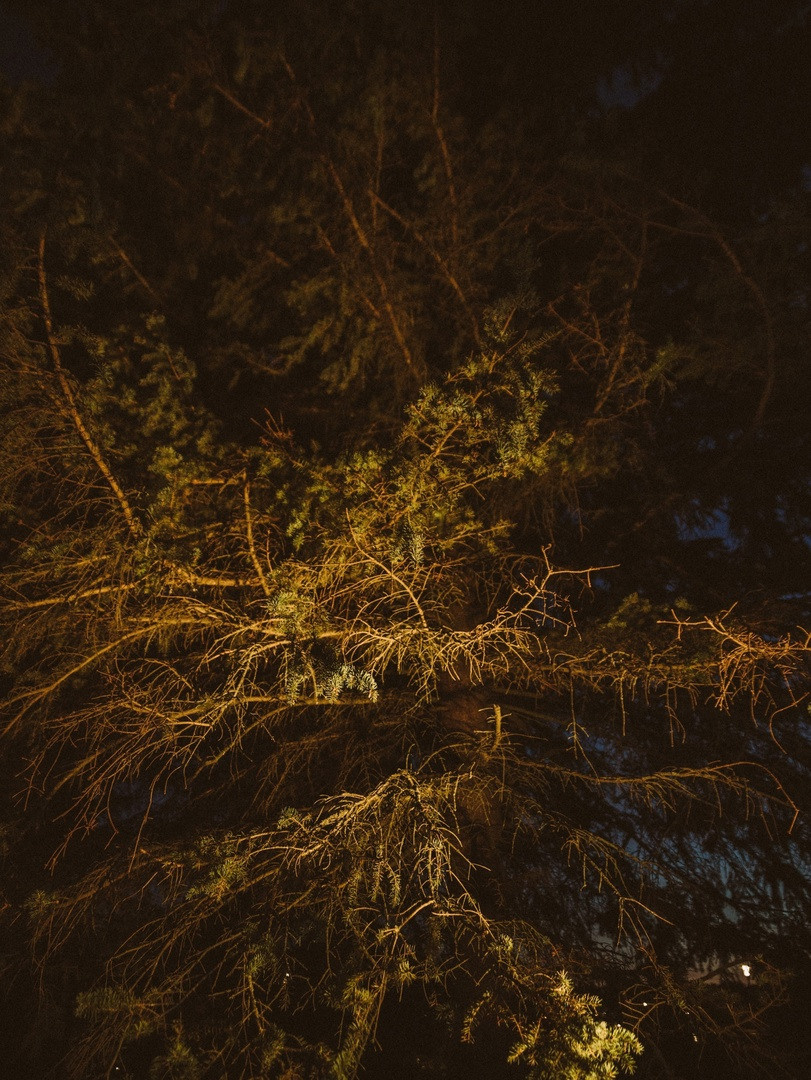 Техника в фотографии.ru. Jorgis Talè — photographer, kind person, teacher of arts and other mag