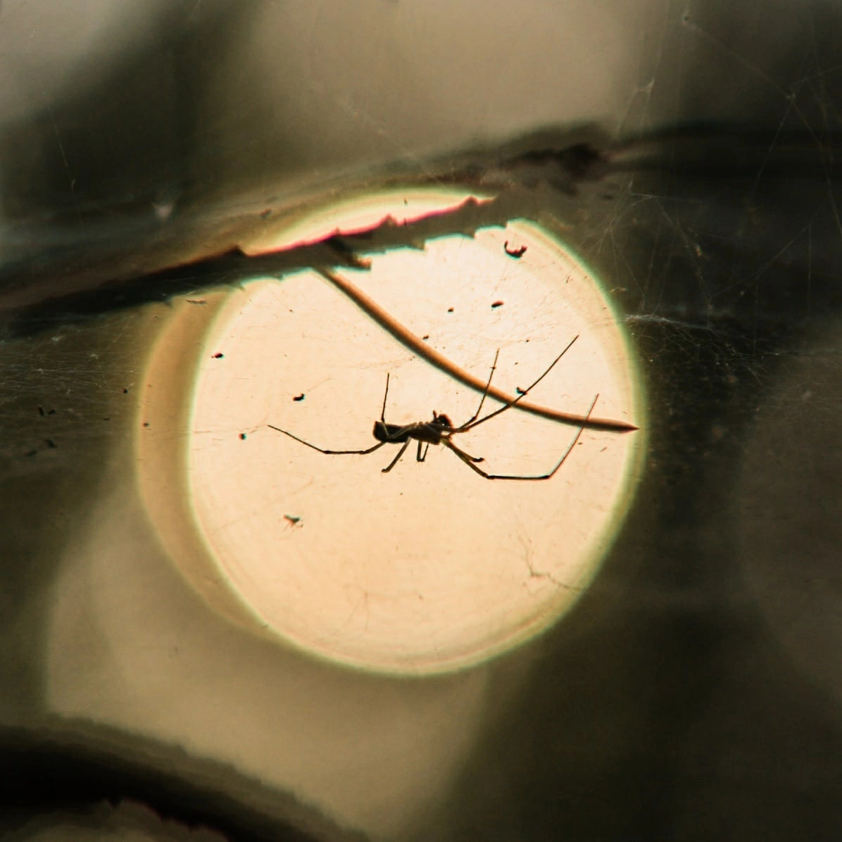 Ученики. Jorgis — фотограф в Хургаде / обучение фотографии