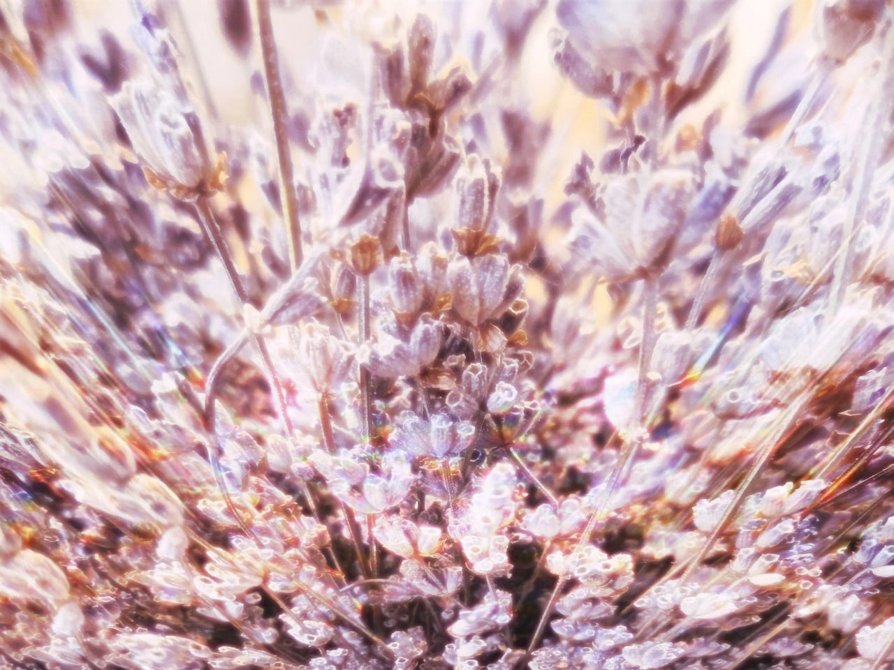 Ученики. Jorgis — фотограф в Хургаде / обучение фотографии