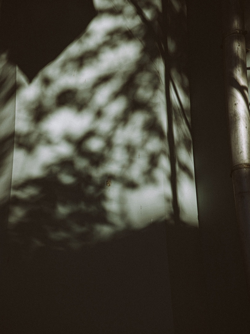 Техника в фотографии.ru. Jorgis Talè — photographer, kind person, teacher of arts and other mag