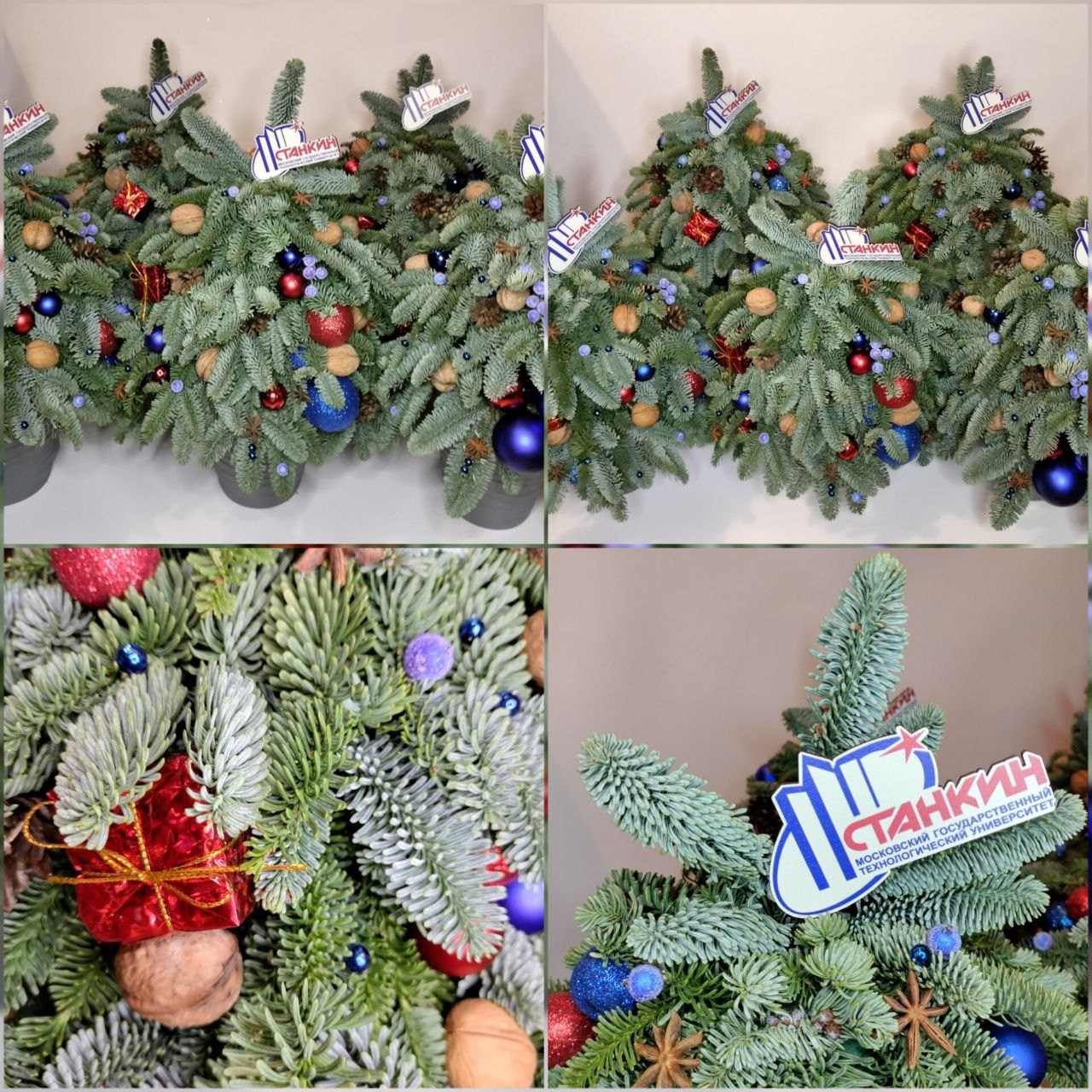 Корпоративным клиентам. Мария Сурмина-Ким. Флорист