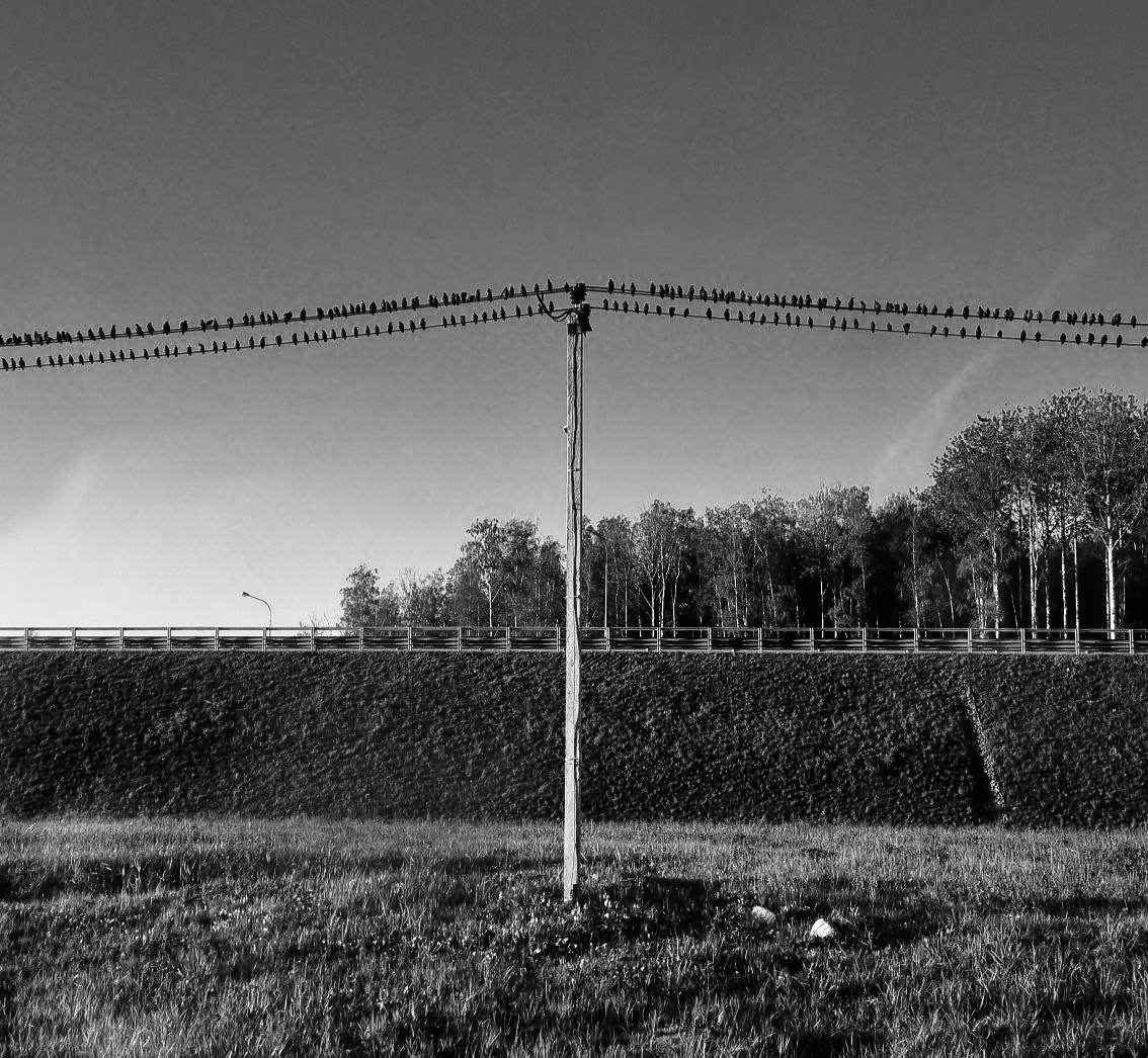 КУРС ПО ФОТО/ВИДЕО СЪЕМКЕ «СЧАСТЬЕ В ПРОСТОМ». Фотография. Визуально-чувственный мир души