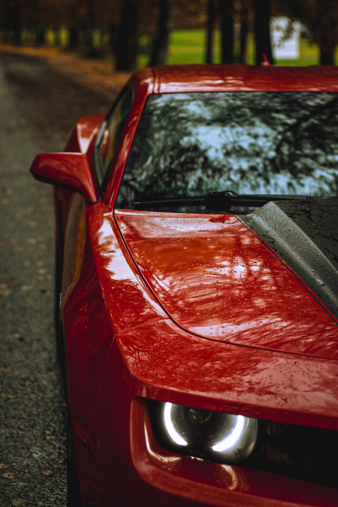 Cars. Фотограф Ксюша Костюченко