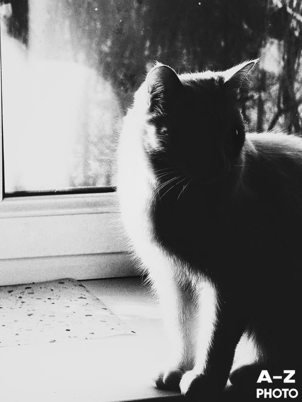 #ФОТОНЕДЕЛИ 09.02.2026. Женский семейный фотограф Тула Москва Захарова Анна