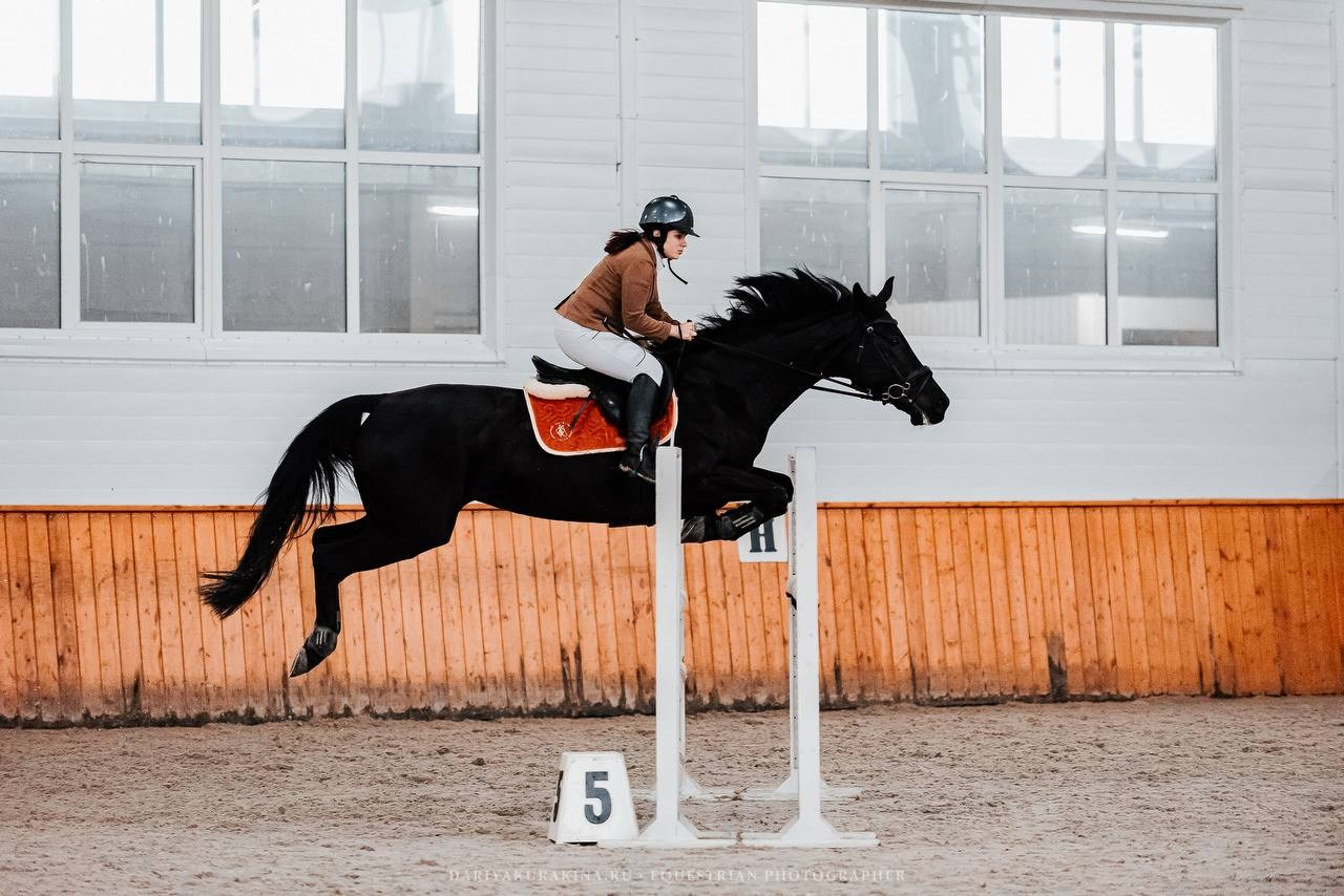 ОСЕННИЙ КУБОК КСК «КОНКОРД» по КОНКУРУ. Куракина Дарья • Конный фотограф