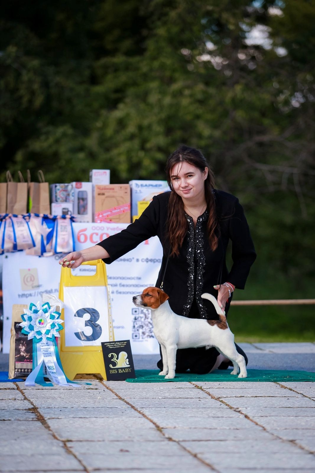 Джек рассел отзывы владельцев и покупателей щенков. CANE MAESTRO — kennel Jack Russell Terrier